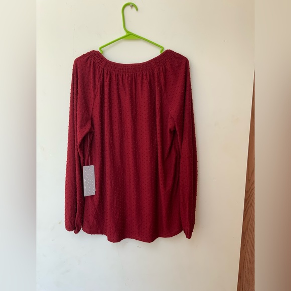 Daniel Rainn Cranberry Blouse - Picture 3 of 3